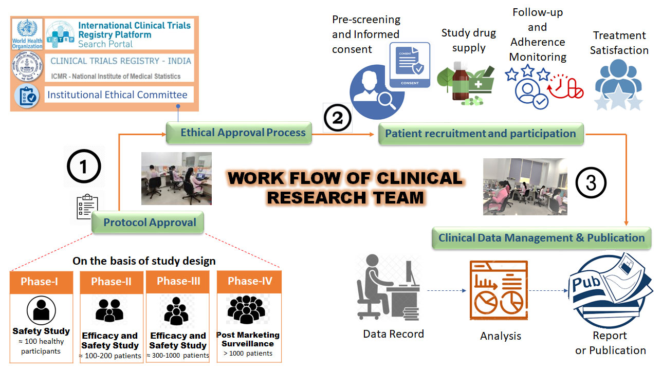 clinical-research-work-flow