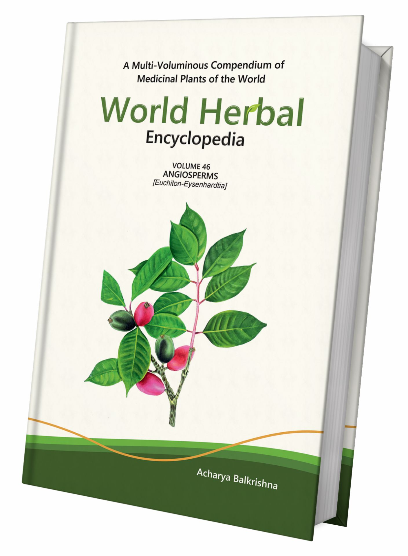 World Herbal Encyclopedia