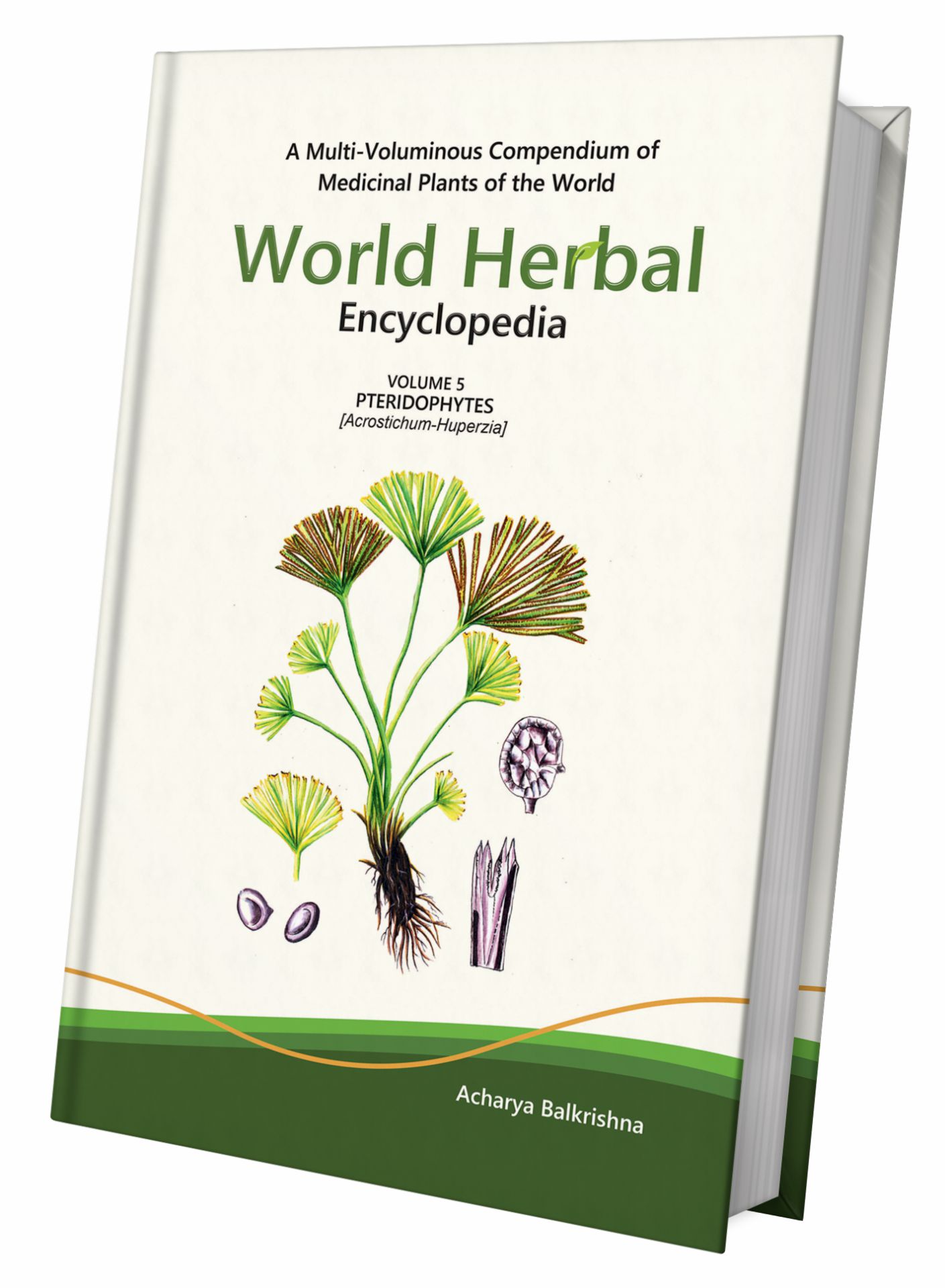 World Herbal Encyclopedia