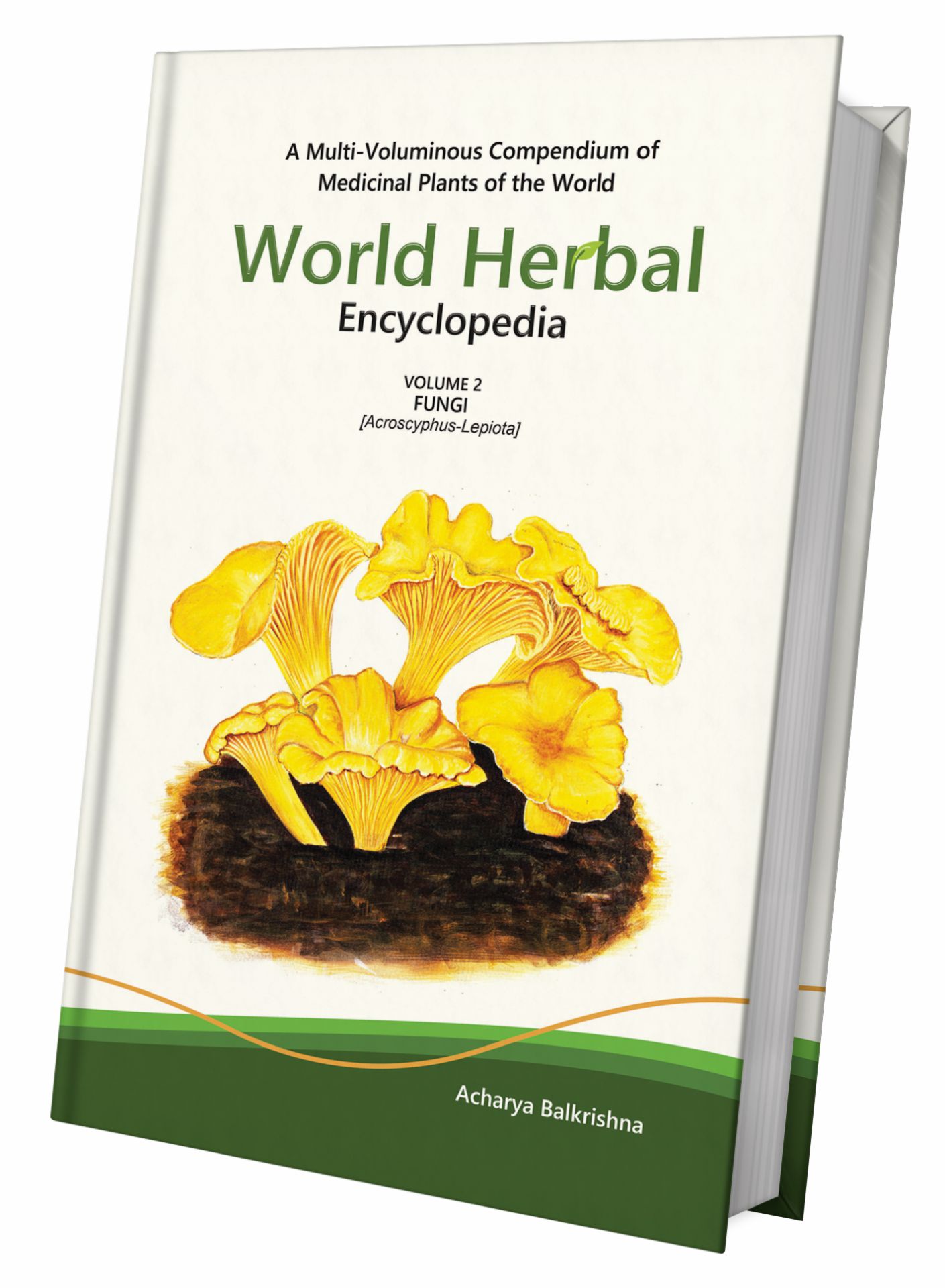 World Herbal Encyclopedia