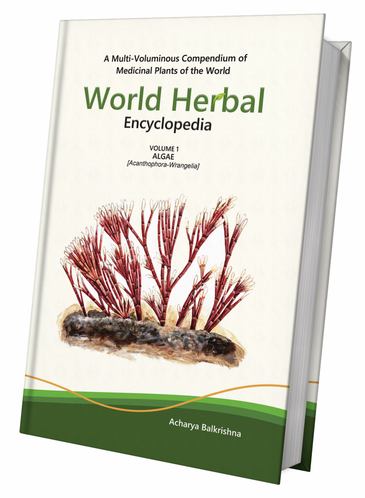 World Herbal Encyclopedia