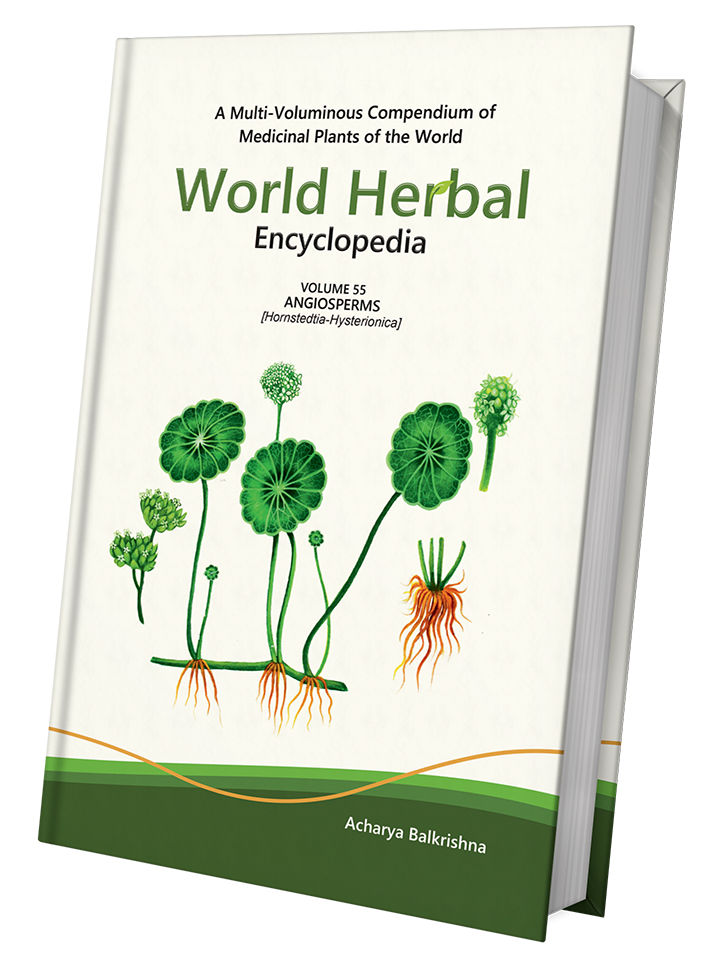 World Herbal Encyclopedia
