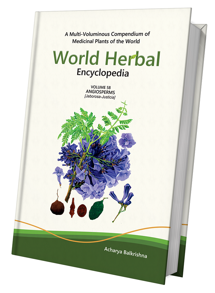 World Herbal Encyclopedia