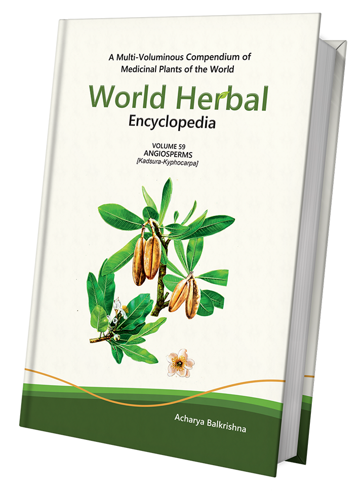 World Herbal Encyclopedia