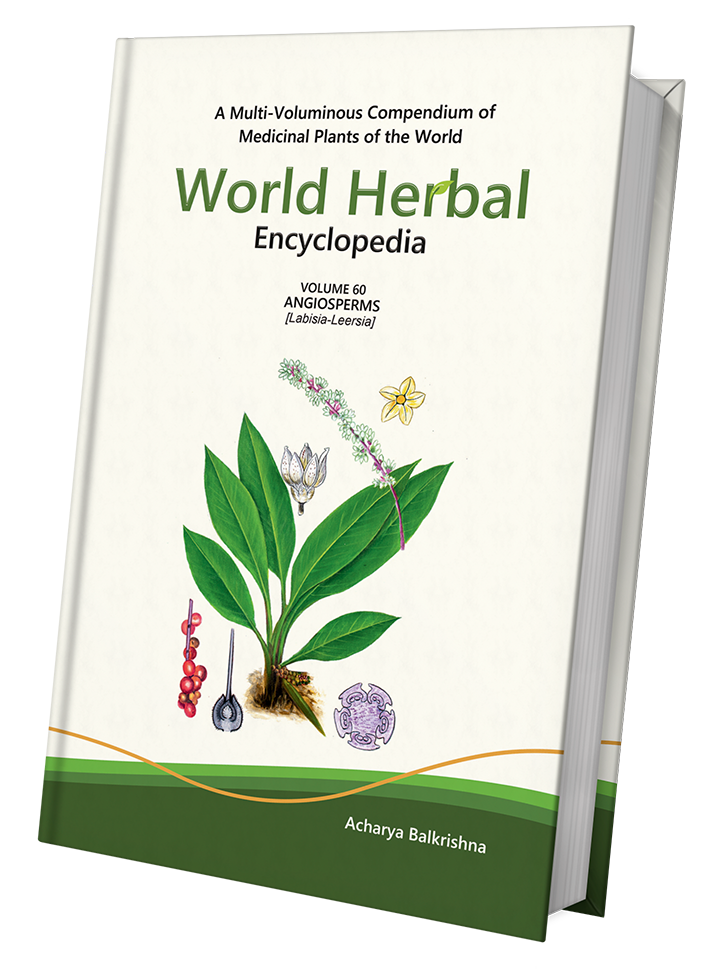 World Herbal Encyclopedia