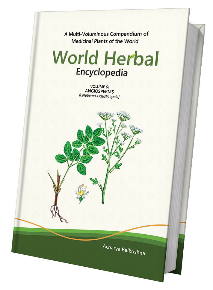 World Herbal Encyclopedia