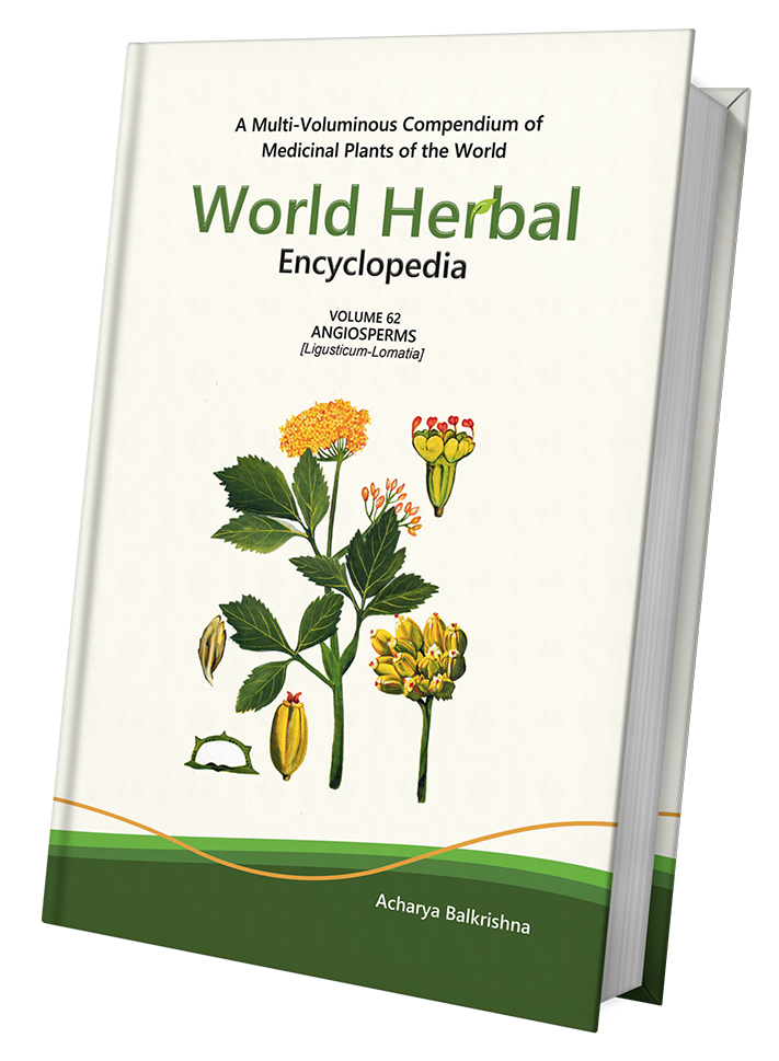 World Herbal Encyclopedia