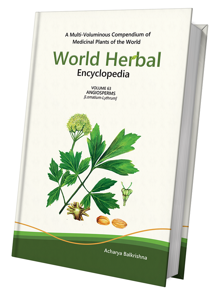 World Herbal Encyclopedia