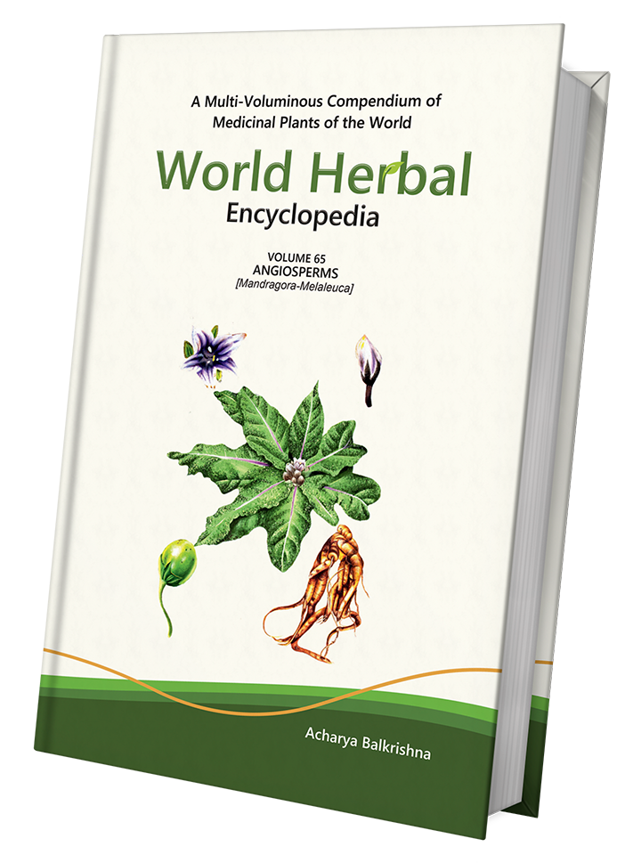 World Herbal Encyclopedia