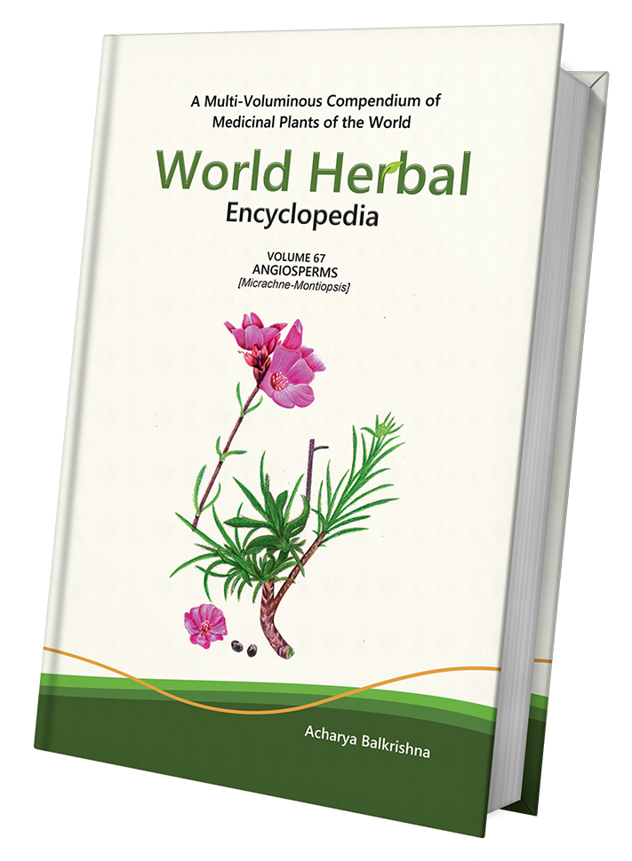 World Herbal Encyclopedia