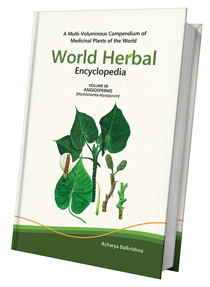 World Herbal Encyclopedia