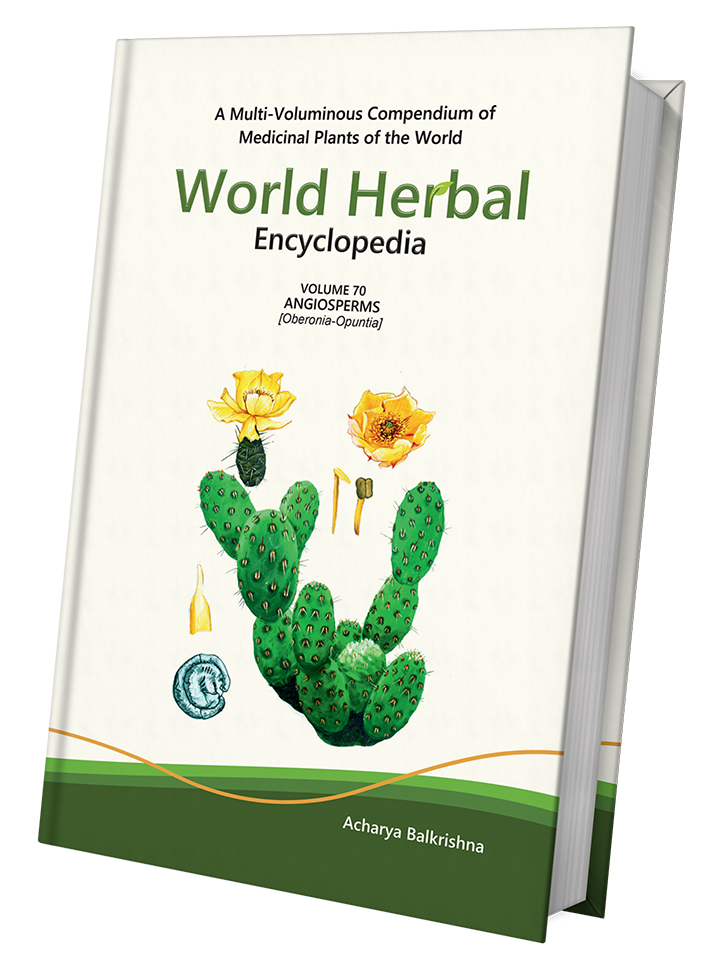 World Herbal Encyclopedia