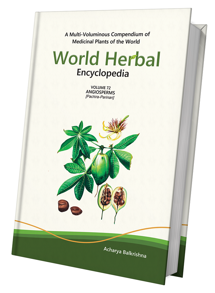 World Herbal Encyclopedia