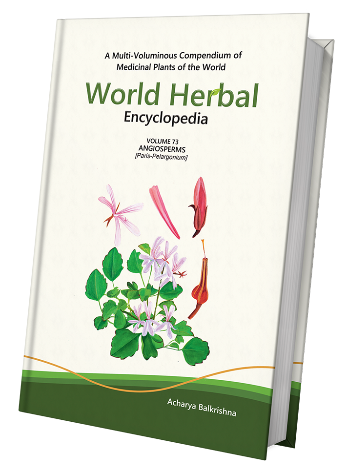 World Herbal Encyclopedia