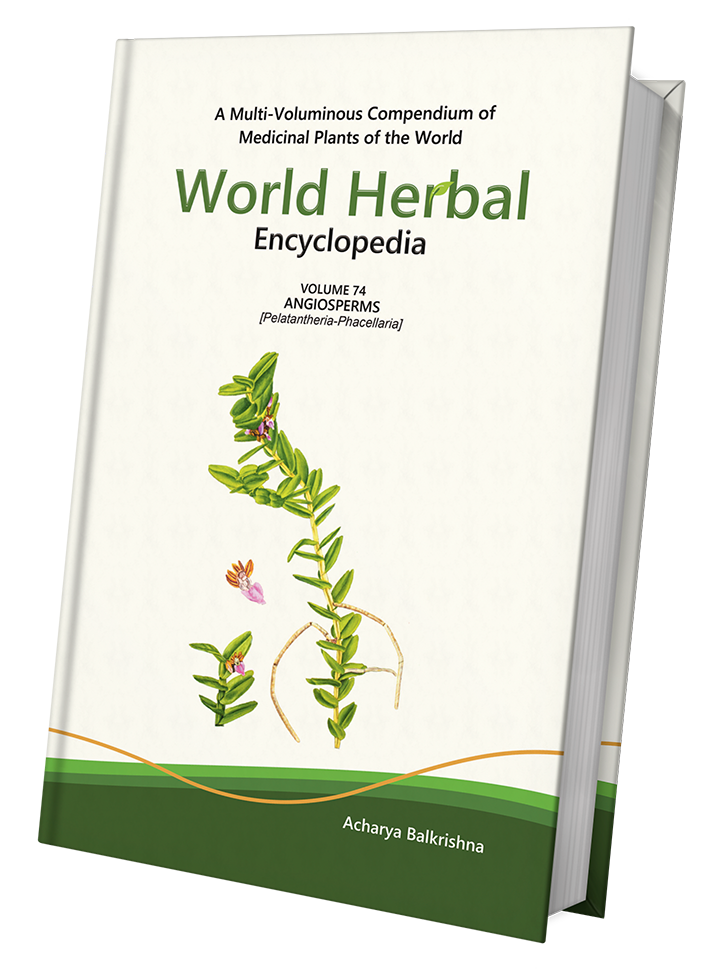 World Herbal Encyclopedia