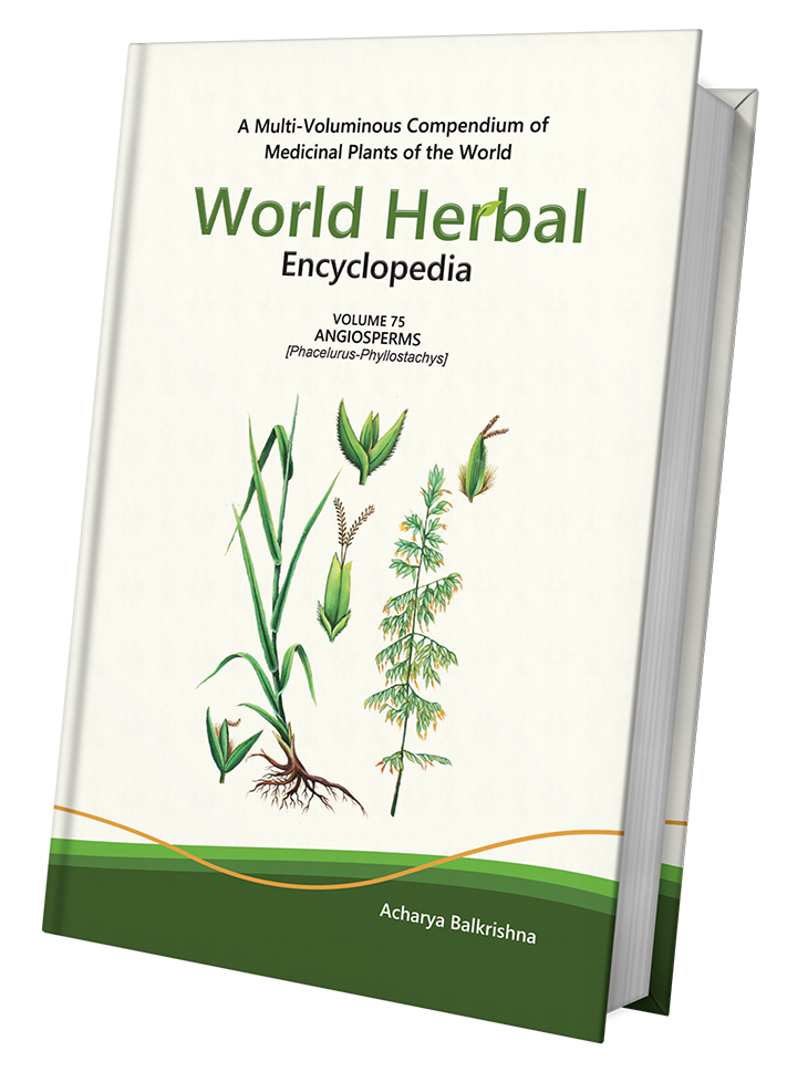 World Herbal Encyclopedia