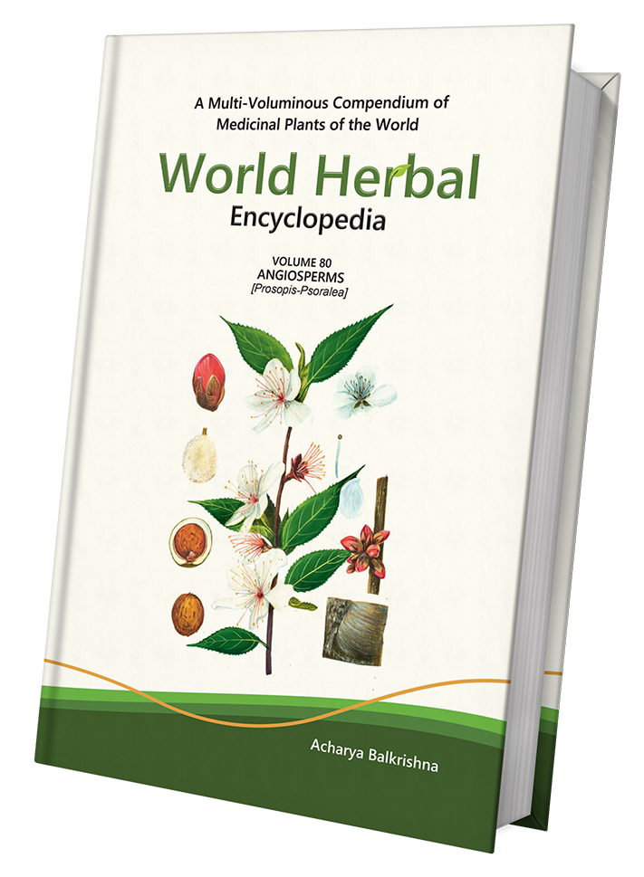 World Herbal Encyclopedia