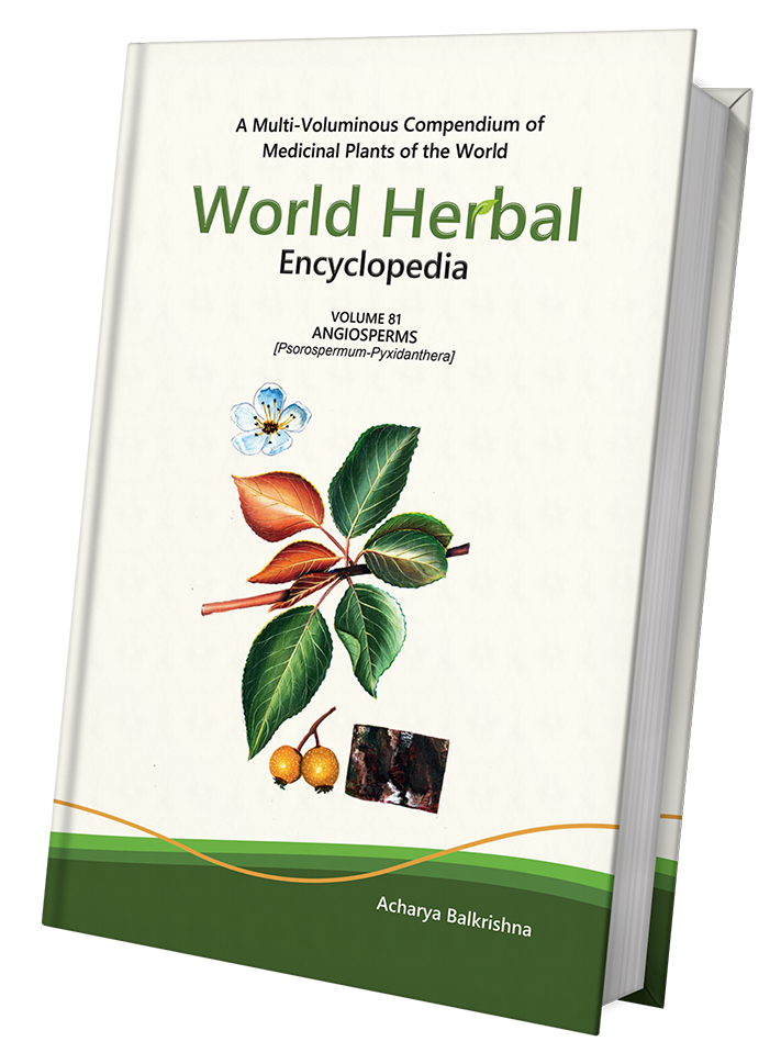 World Herbal Encyclopedia