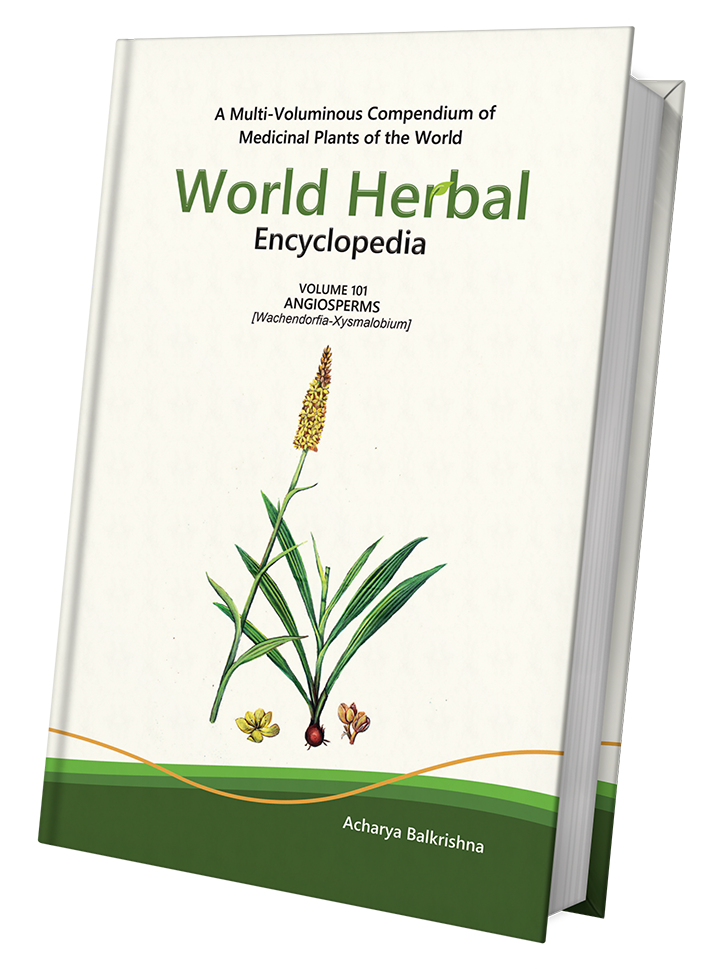 World Herbal Encyclopedia